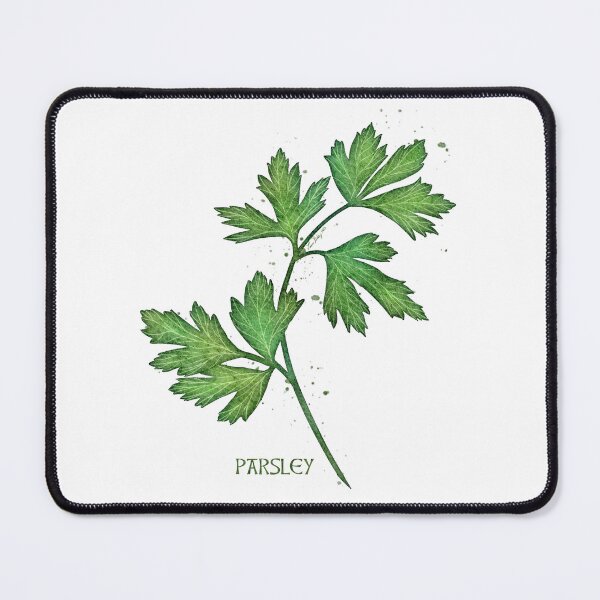 Item preview, Watercolor Culinary Herbs: Parsley designed and sold by LittleSunShoppe.