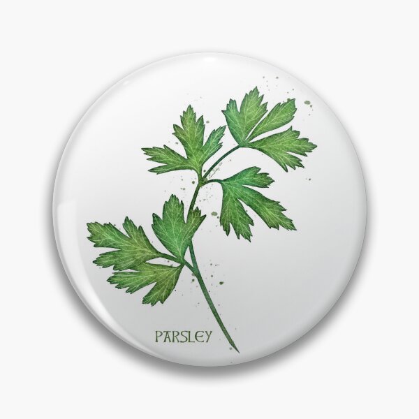 Item preview, Watercolor Culinary Herbs: Parsley designed and sold by LittleSunShoppe.