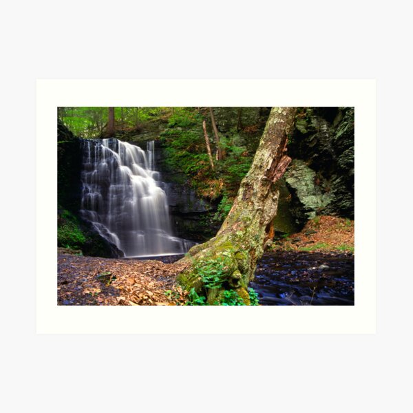 Bushkill Waterfall Art Print