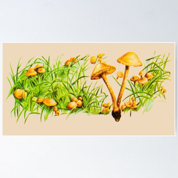 Item preview, Field guide mushroom  designed and sold by Preternatural.