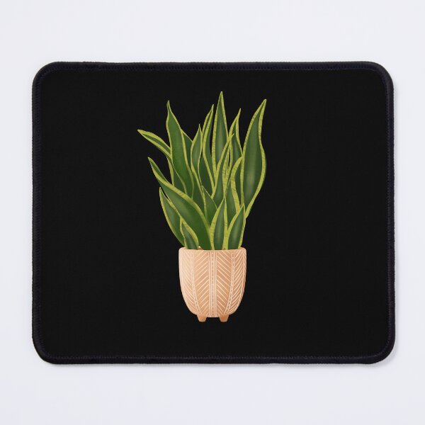 Item preview,  Snake Plant designed and sold by Ana Moguš.