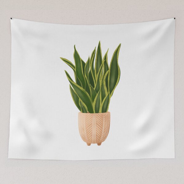 Item preview,  Snake Plant designed and sold by Ana Moguš.
