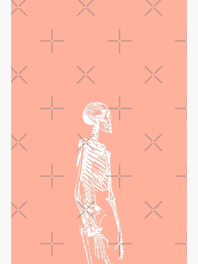 "Skeleton Pastel Aesthetic" Poster for Sale by ind3finite Redbubble