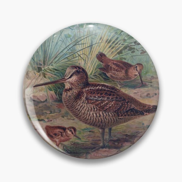 Item preview, Eurasian Woodcock by Keulemans designed and sold by TheCurators.