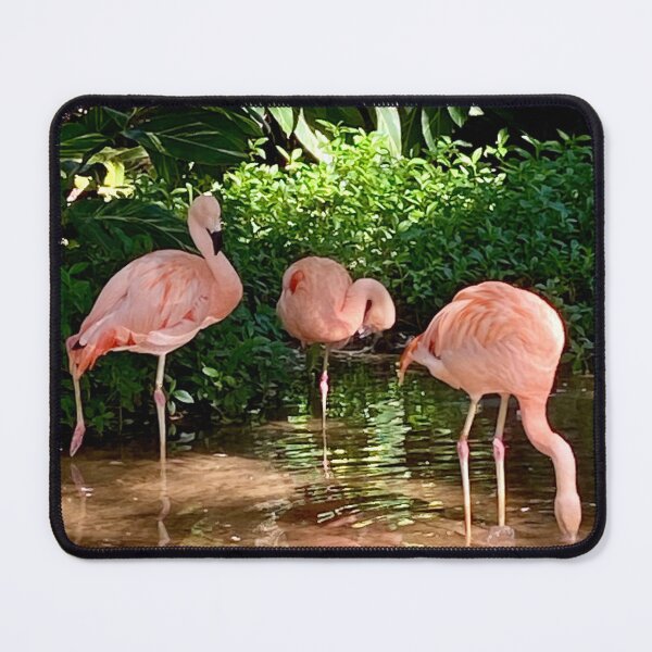 Item preview, Pretty in Pink designed and sold by Suzal770.