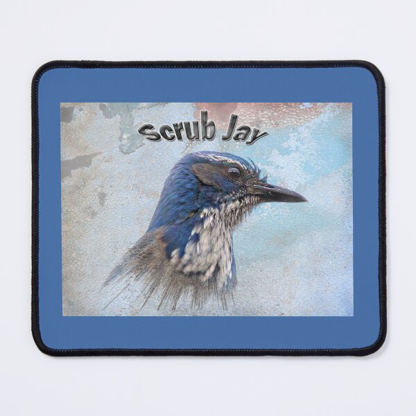 Item preview, Scrub Jay  designed and sold by CarolM.