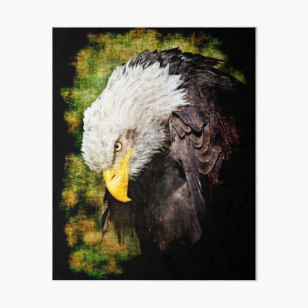 Bald eagle Art Board Print