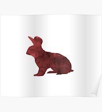 Hase Poster