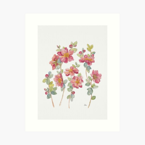 Fleurs de camélia rose corail Impression artistique