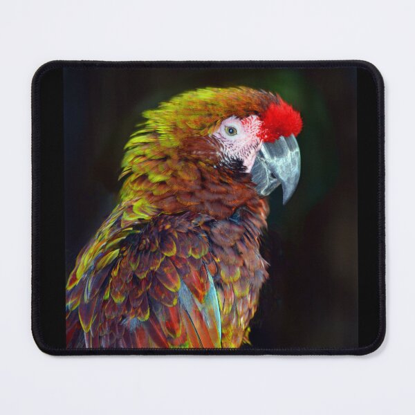 Item preview, Parrot  designed and sold by Savannah Gibbs.