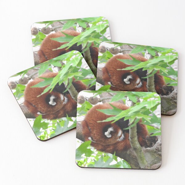 Item preview, Red Panda designed and sold by kirstybush.