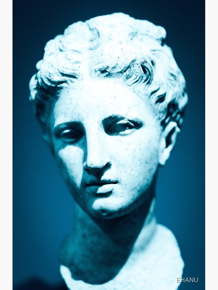 "Greek Stone Head" Poster for Sale by EHANU Redbubble