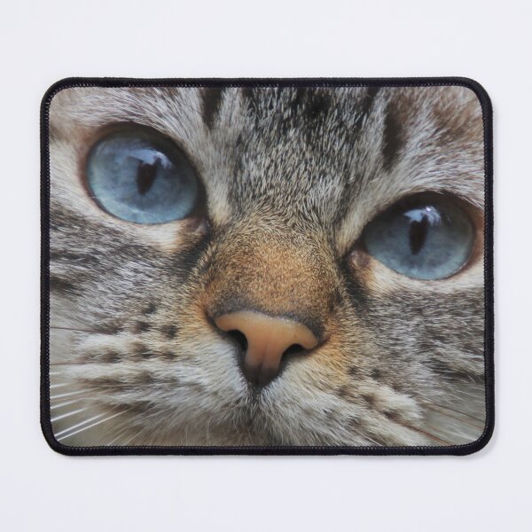 Item preview, Cat , Kitty designed and sold by Momo-Stores.