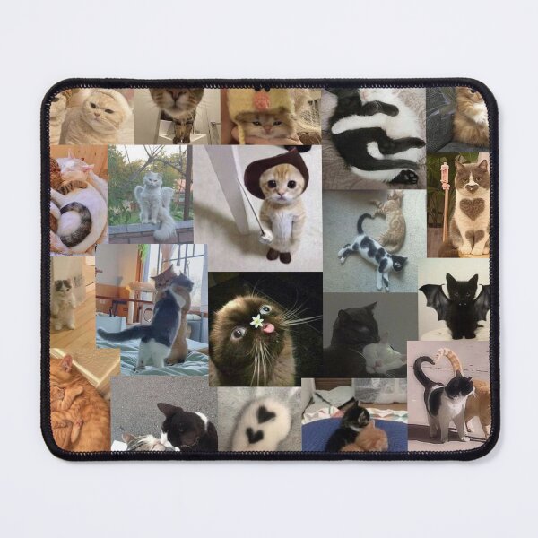 Item preview, cats aesthetic collage designed and sold by morgananjos.