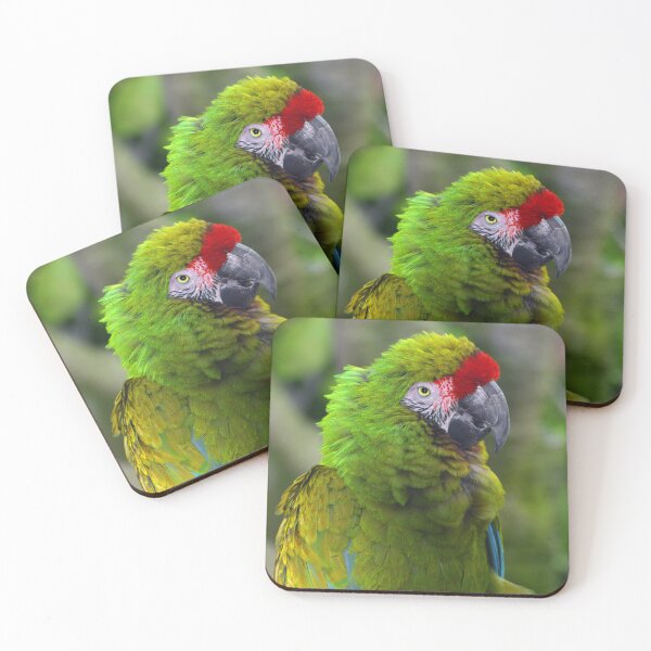 Item preview, Military Macaw designed and sold by Savannah Gibbs.