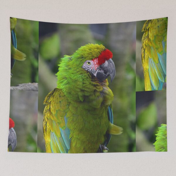 Item preview, Military Macaw designed and sold by Savannah Gibbs.