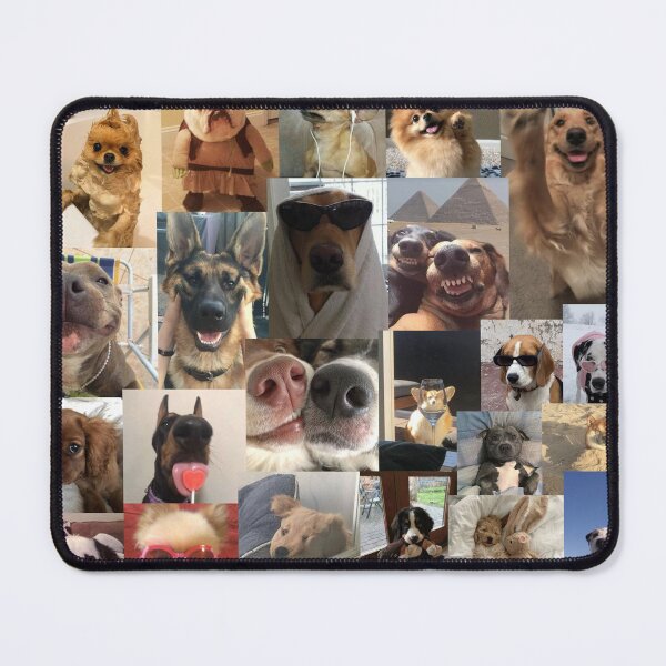 Item preview, dogs aesthetic collage designed and sold by morgananjos.