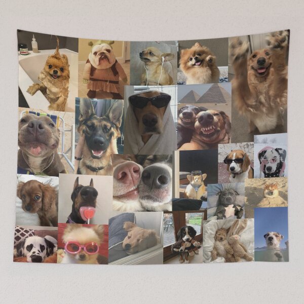 Item preview, dogs aesthetic collage designed and sold by morgananjos.