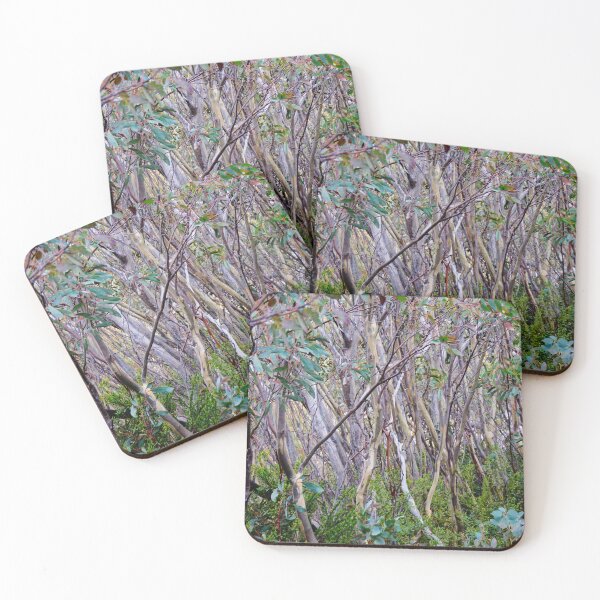 Item preview, Gum Trees designed and sold by D-GaP.