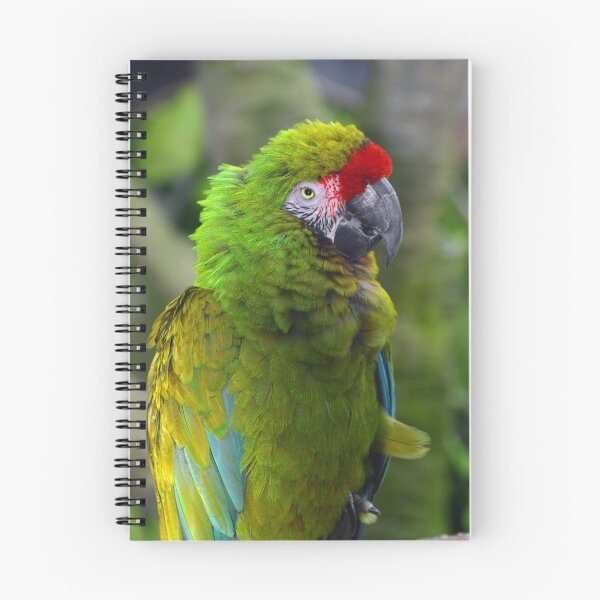 Item preview, Military Macaw designed and sold by Savannah Gibbs.