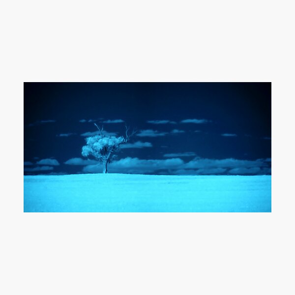 Return To Innocence Photographic Print
