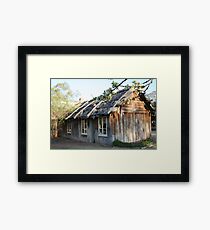blossoms Framed Print
