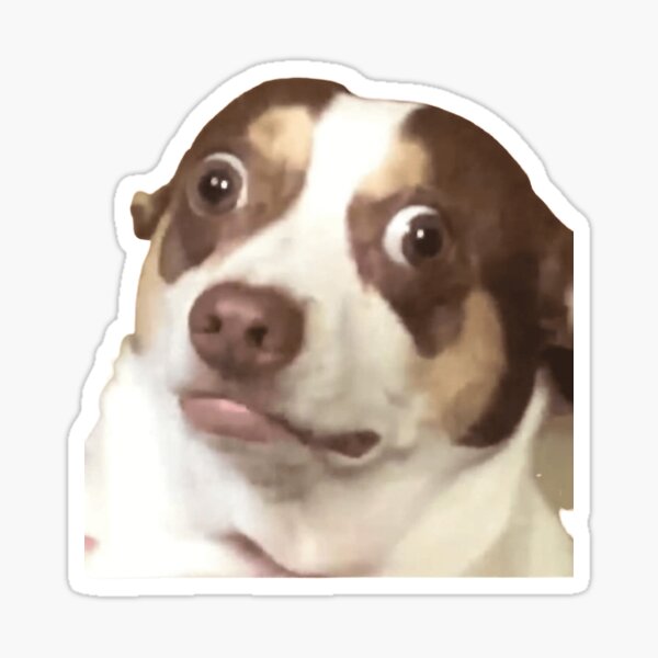 Item preview, Mr.Bubz Funny Dog Meme designed and sold by AlanSmithStore.