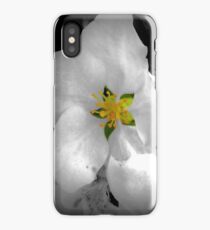 Speck of color, Apple tree blossom iPhone Case/Skin