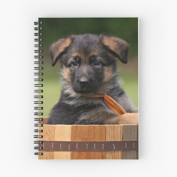 Aperçu de l'œuvre Chiot de berger allemand en planteur créée et vendue par Sandy Keeton.