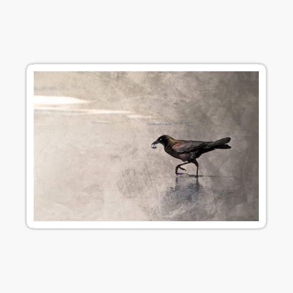 Crow Carries Sticker