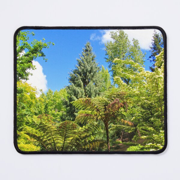 Item preview, Fern gully, Adelaide Hills, Australia designed and sold by FranWest.