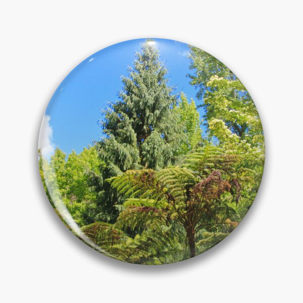 Item preview, Fern gully, Adelaide Hills, Australia designed and sold by FranWest.