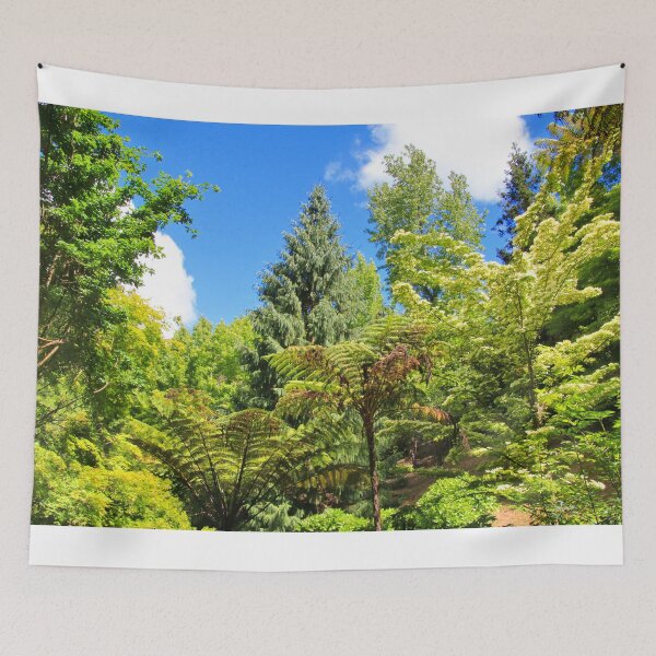 Item preview, Fern gully, Adelaide Hills, Australia designed and sold by FranWest.