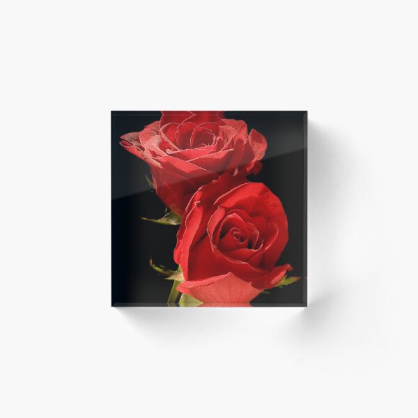 Dance With me Acrylic Block