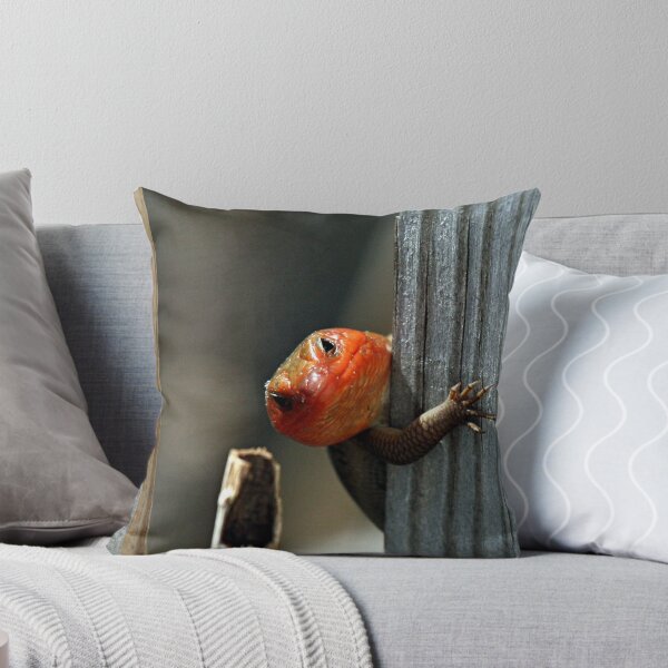 Item preview, Go Away designed and sold by J. L. Gould.