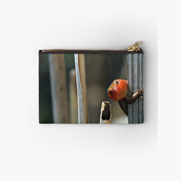 Item preview, Go Away designed and sold by J. L. Gould.