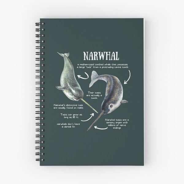 Item preview, Narwhal Fun Facts designed and sold by KyleNesas.