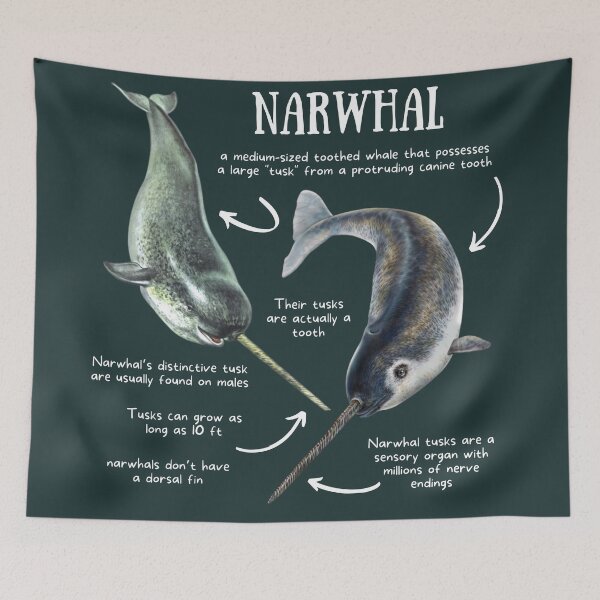 Item preview, Narwhal Fun Facts designed and sold by KyleNesas.