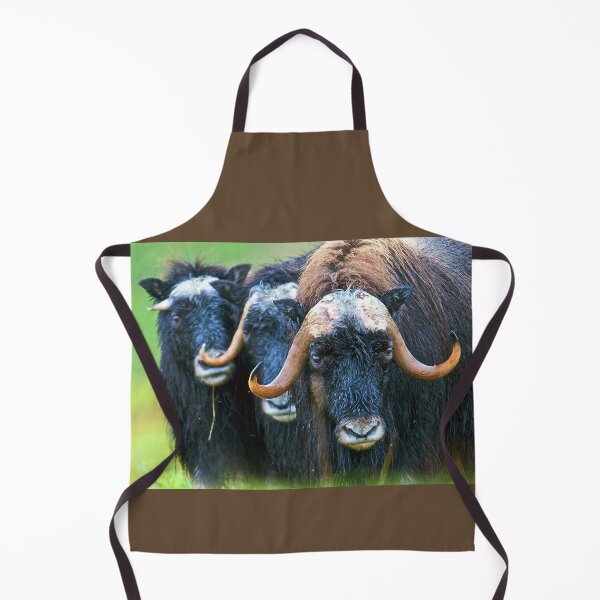 Item preview, Musk Ox, Seward Peninsula, Northwest Alaska designed and sold by AlaskaExtreme.