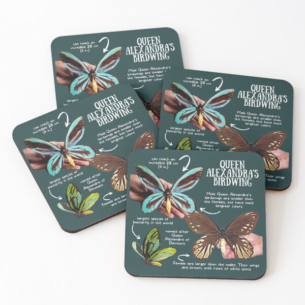 Item preview, Queen Alexandra's Birdwing Fun Facts designed and sold by KyleNesas.