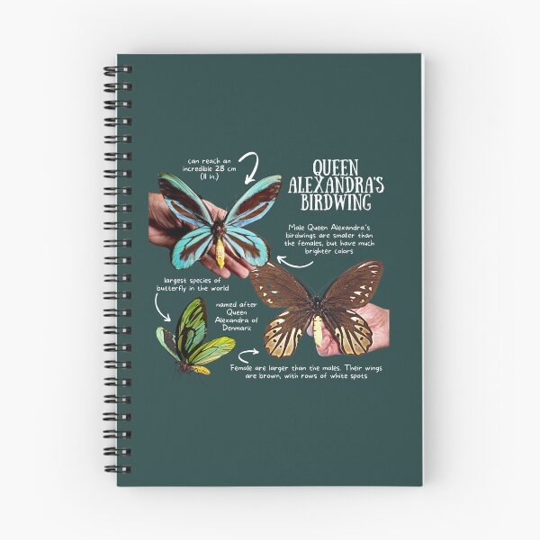 Item preview, Queen Alexandra's Birdwing Fun Facts designed and sold by KyleNesas.