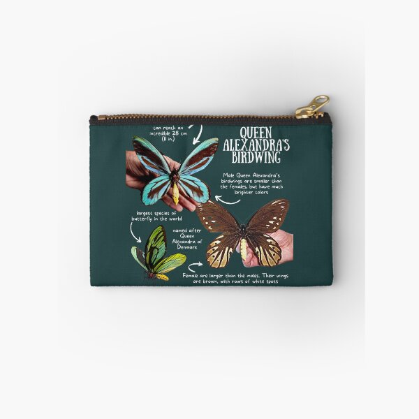 Item preview, Queen Alexandra's Birdwing Fun Facts designed and sold by KyleNesas.
