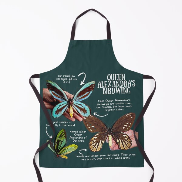 Item preview, Queen Alexandra's Birdwing Fun Facts designed and sold by KyleNesas.