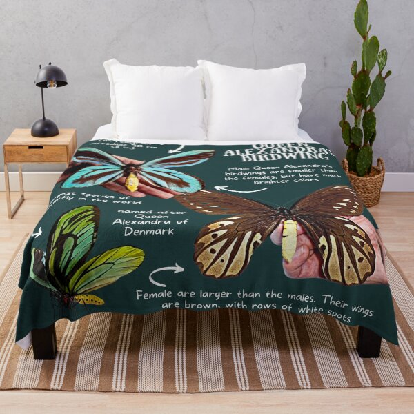 Item preview, Queen Alexandra's Birdwing Fun Facts designed and sold by KyleNesas.
