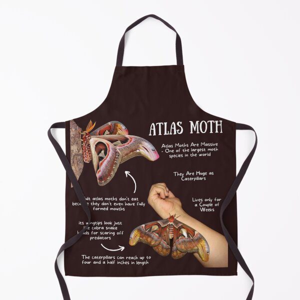 Item preview, Atlas Moth Fun Facts designed and sold by KyleNesas.