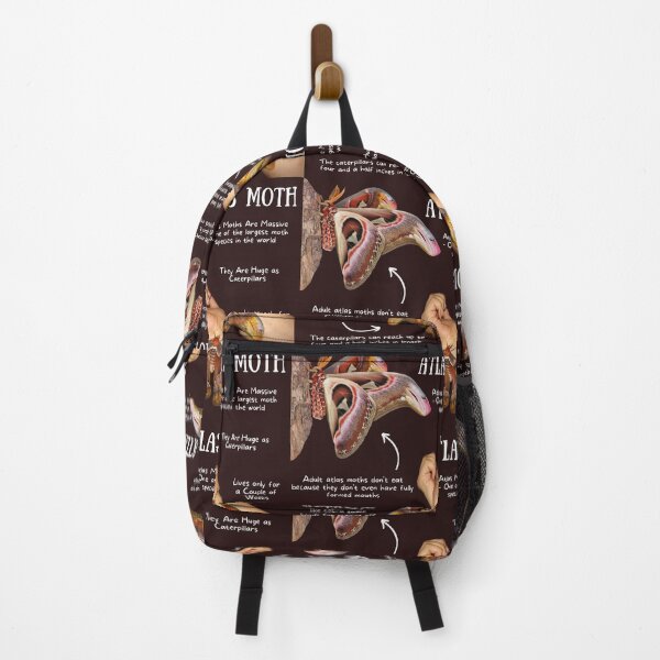 Item preview, Atlas Moth Fun Facts designed and sold by KyleNesas.