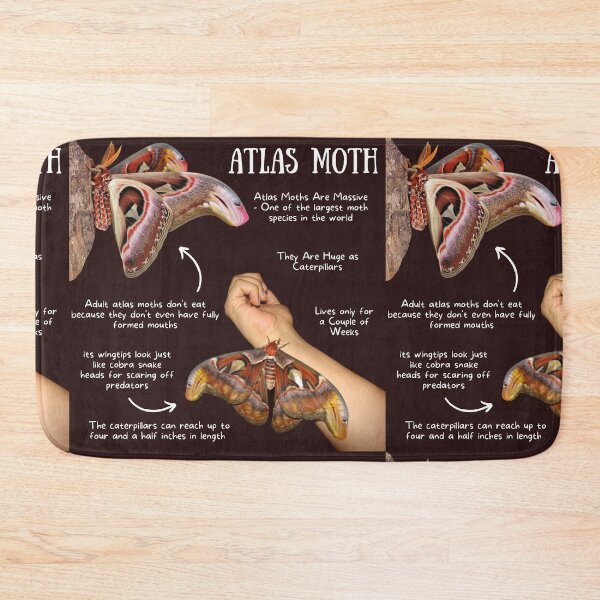 Item preview, Atlas Moth Fun Facts designed and sold by KyleNesas.