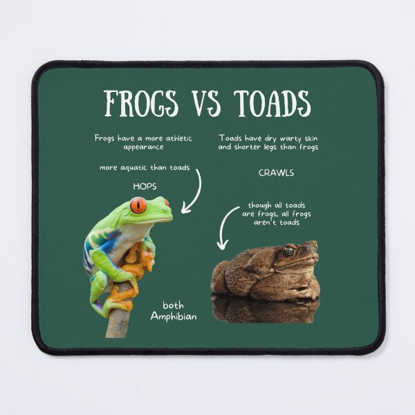 Item preview, Frogs vs Toads Fun Facts designed and sold by KyleNesas.
