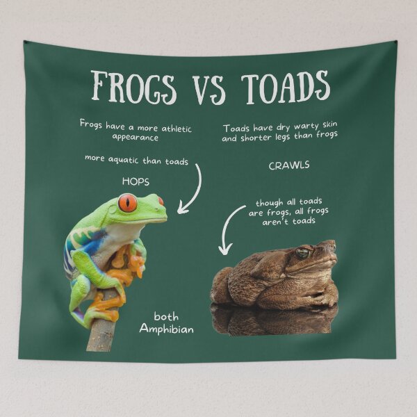 Item preview, Frogs vs Toads Fun Facts designed and sold by KyleNesas.