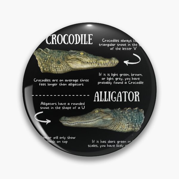 Item preview, Crocodile vs Alligator Fun Facts designed and sold by KyleNesas.